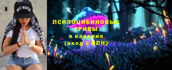 бошки Алексин
