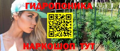 apvp Кинель